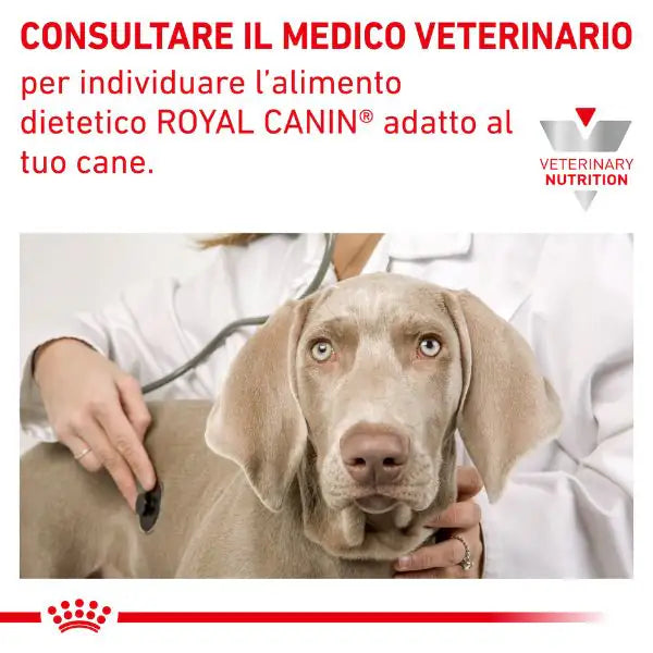 Royal Canin Veterinary Diet Hypoallergenic Cane   bauzaarit.myshopify.com