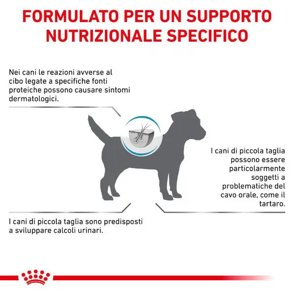 Royal Canin Veterinary Diet Hypoallergenic Small Dog   bauzaarit.myshopify.com