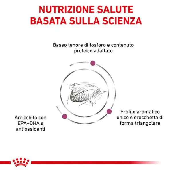 Royal Canin Veterinary Diet Renal Special Feline   bauzaarit.myshopify.com