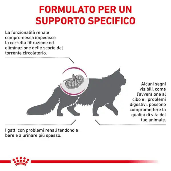 Royal Canin Veterinary Diet Renal Special Feline   bauzaarit.myshopify.com