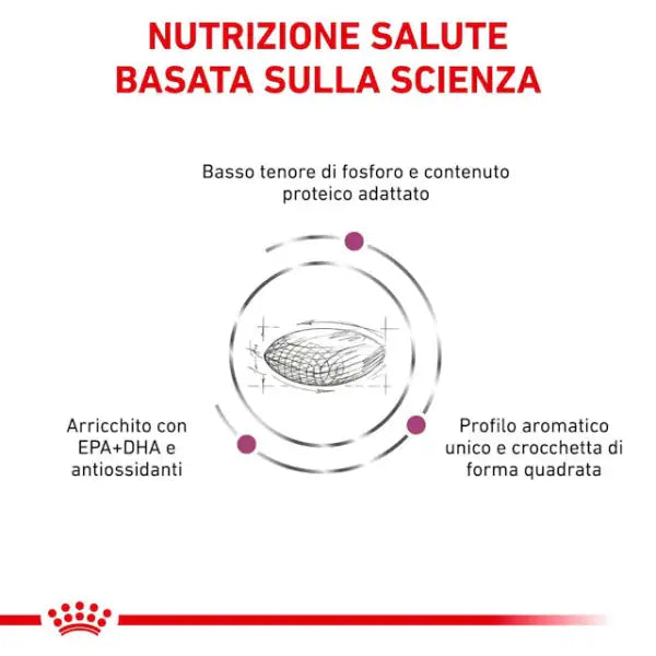 Royal Canin Veterinary Diet Renal   bauzaarit.myshopify.com