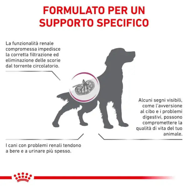 Royal Canin Veterinary Diet Renal   bauzaarit.myshopify.com