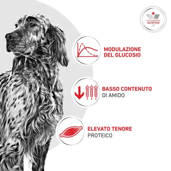 Royal Canin Veterinary Diets Glycobalance Low Carbohydrate   bauzaarit.myshopify.com