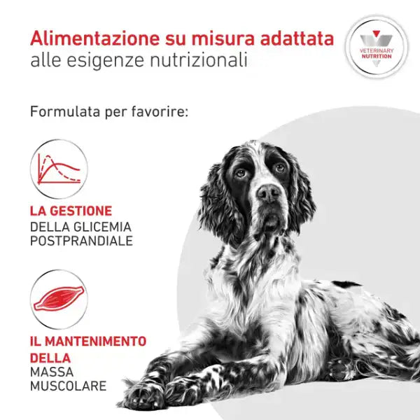 Royal Canin Veterinary Diets Glycobalance Low Carbohydrate   bauzaarit.myshopify.com
