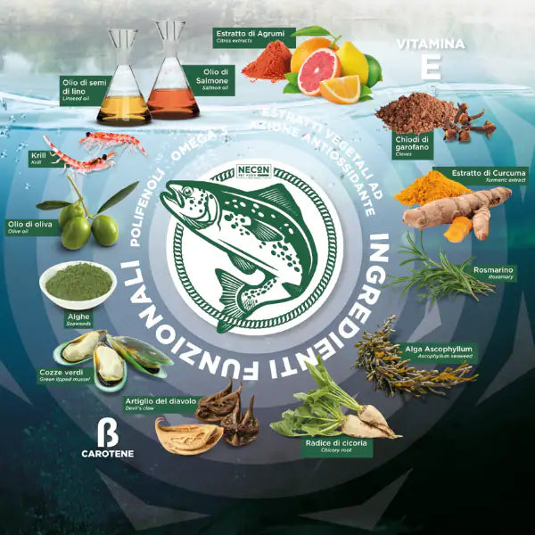 Salmoil olio di salmone per cani e gatti Benessere articolare   bauzaarit.myshopify.com