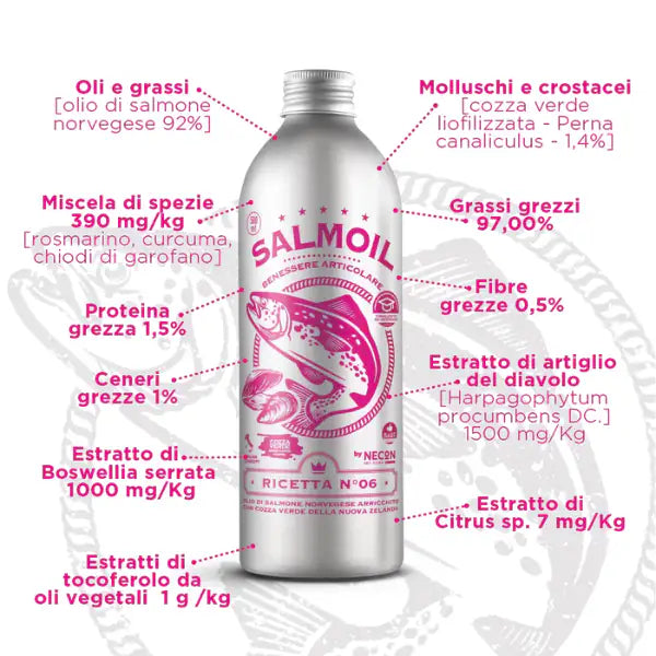 Salmoil olio di salmone per cani e gatti Benessere articolare   bauzaarit.myshopify.com