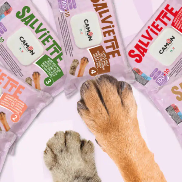 Salviette Detergenti per cani e gatti Maxi Formato da 110 pezzi Camon   Bauzaar.it