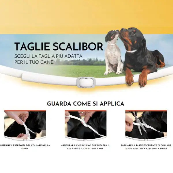 Scalibor Collare Antiparassitario per Cani   bauzaarit.myshopify.com