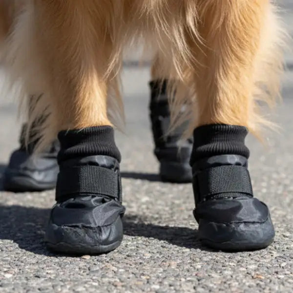 Scarpe per cani impermeabili e antiscivolo Croci   bauzaarit.myshopify.com
