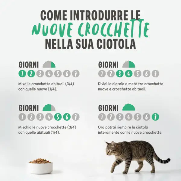 Schesir Animal Monoprotein formula Cat Adult con Pesce fresco   Bauzaar.it