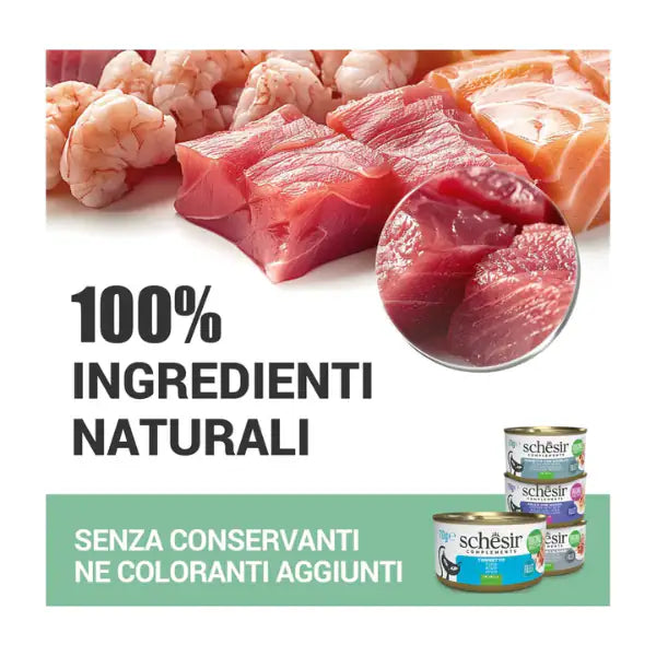 Schesir Cat Adult filetti in brodo alimento complementare in lattina 70 gr   bauzaarit.myshopify.com