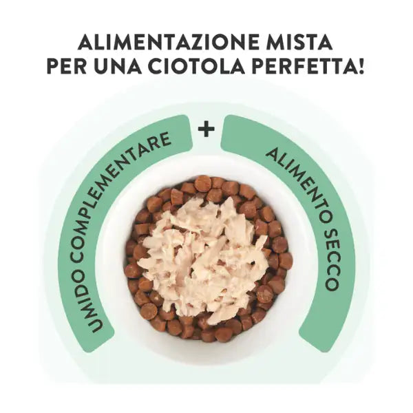 Schesir Cat Adult filetti in brodo alimento complementare in lattina 70 gr   bauzaarit.myshopify.com