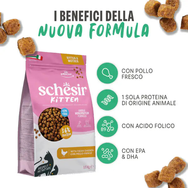 Schesir Cat Kitten & Mother Monoprotein formula con Acido folico Pollo fresco   Bauzaar.it