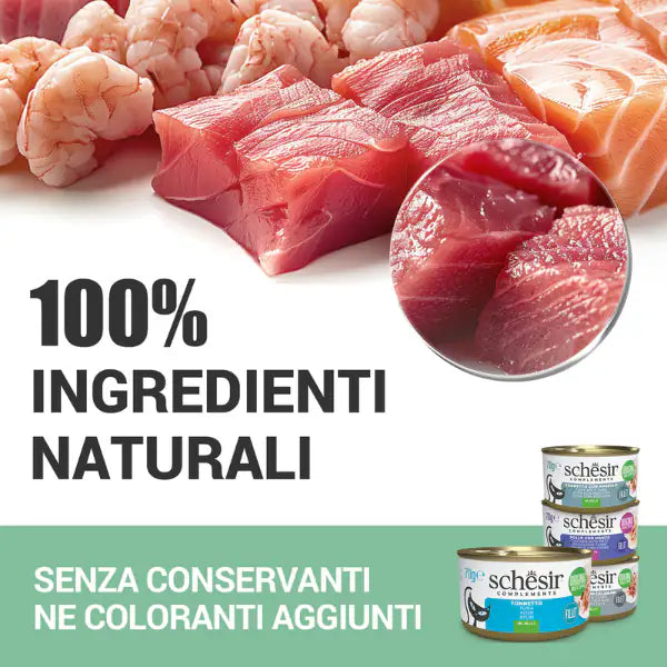 Schesir Cat Soft Adult filetti in gelatina alimento complementare lattina 70 gr   bauzaarit.myshopify.com