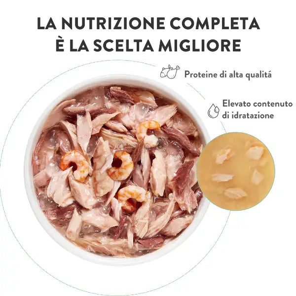 Schesir Cat Soft Adult filetti in gelatina alimento completo bustine 85 gr   bauzaarit.myshopify.com