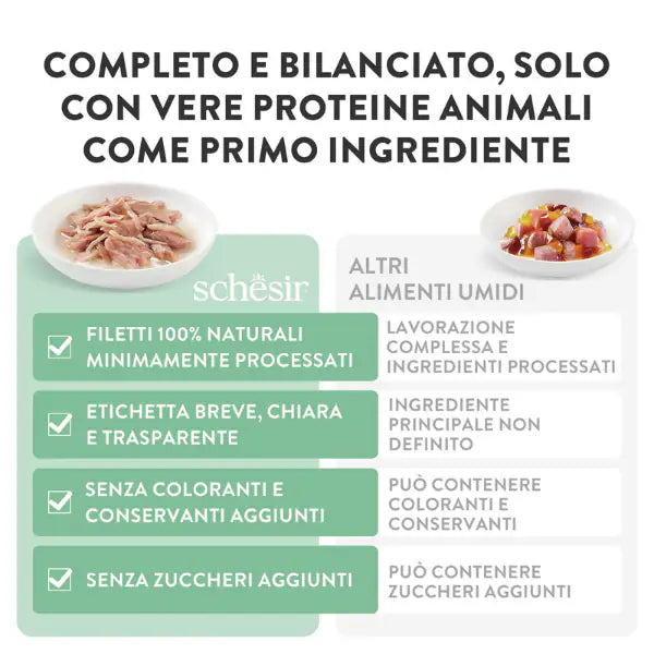 Schesir Cat Soft Adult filetti in gelatina alimento completo bustine 85 gr   bauzaarit.myshopify.com