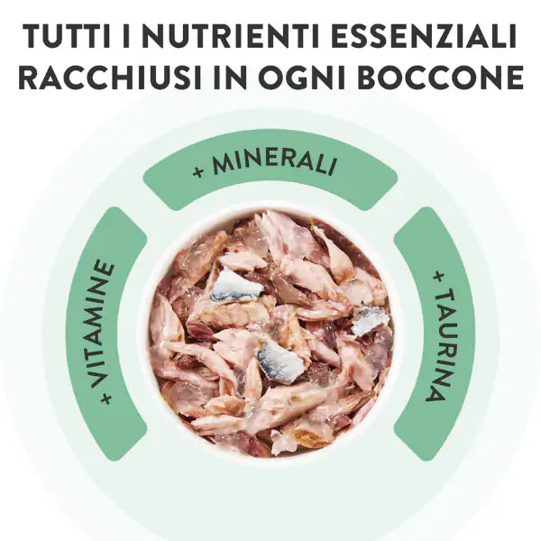 Schesir Cat Soft Adult filetti in gelatina alimento completo bustine 85 gr   bauzaarit.myshopify.com