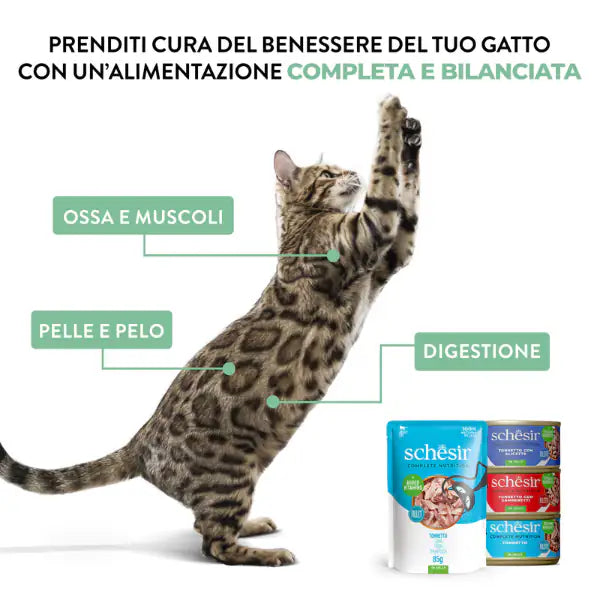Schesir Cat Soft Adult filetti in gelatina alimento completo bustine 85 gr   bauzaarit.myshopify.com