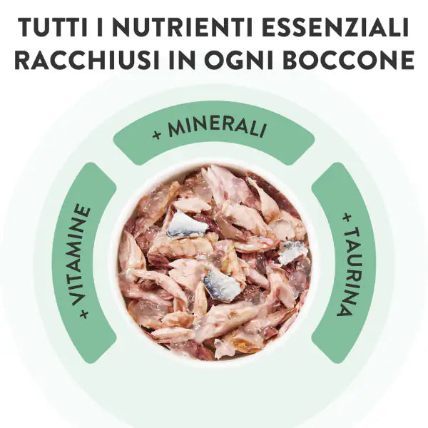 Schesir Cat Soft Adult filetti in gelatina alimento completo lattina 85 gr   bauzaarit.myshopify.com