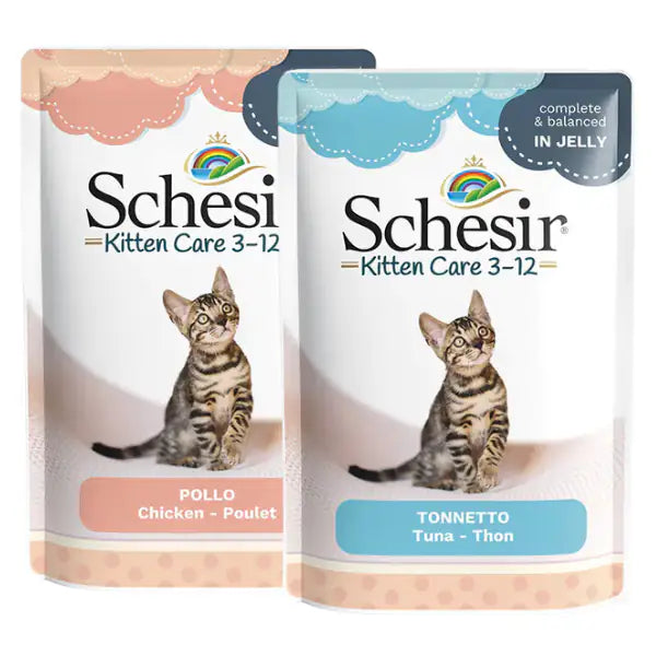 Schesir Cat Soft Kitten in jelly 85 gr   bauzaarit.myshopify.com