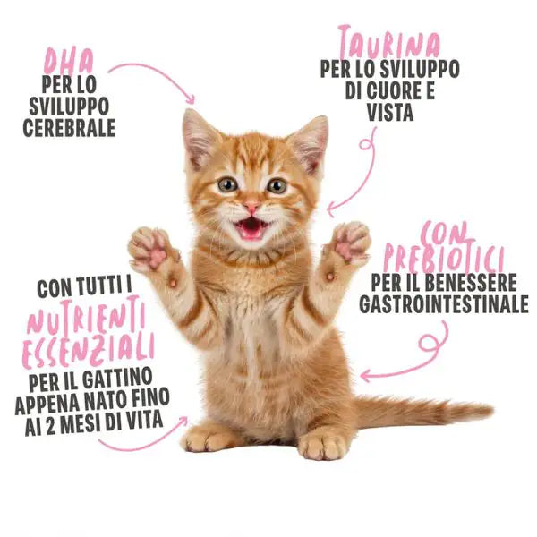 Schesir Kitten Milk latte di capra da bere Grain Free   Bauzaar.it