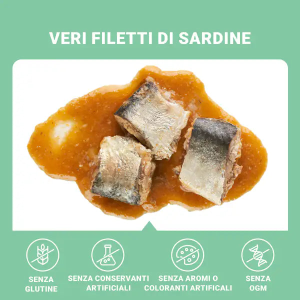 Schesir Sardine Filetti in salsa Cat Adult Grain Free 70 gr   bauzaarit.myshopify.com