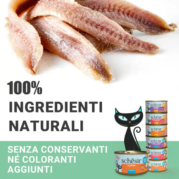 Schesir Sardine Filetti in salsa Cat Adult Grain Free 70 gr   bauzaarit.myshopify.com