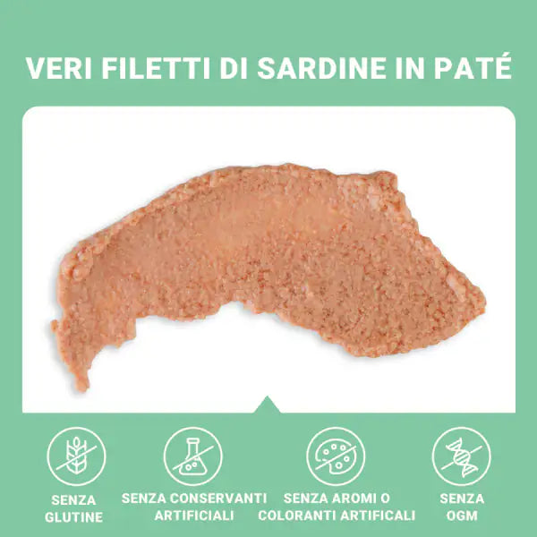 Schesir Sardine Soft Patè Cat Adult Grain Free 70 gr   bauzaarit.myshopify.com