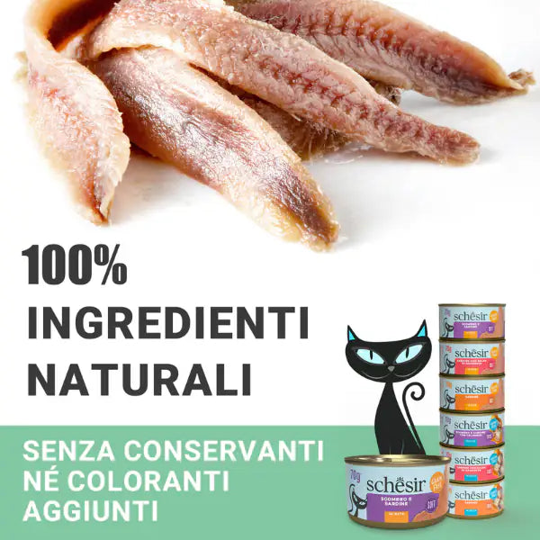 Schesir Sardine Soft Patè Cat Adult Grain Free 70 gr   bauzaarit.myshopify.com