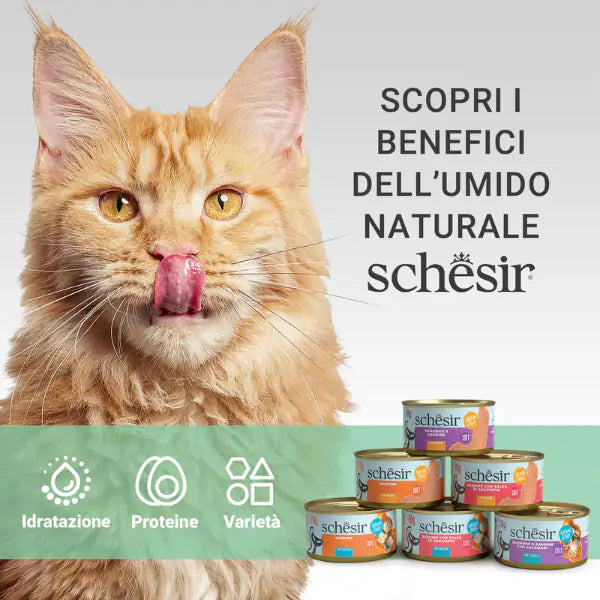 Schesir Sardine Soft Patè Cat Adult Grain Free 70 gr   bauzaarit.myshopify.com
