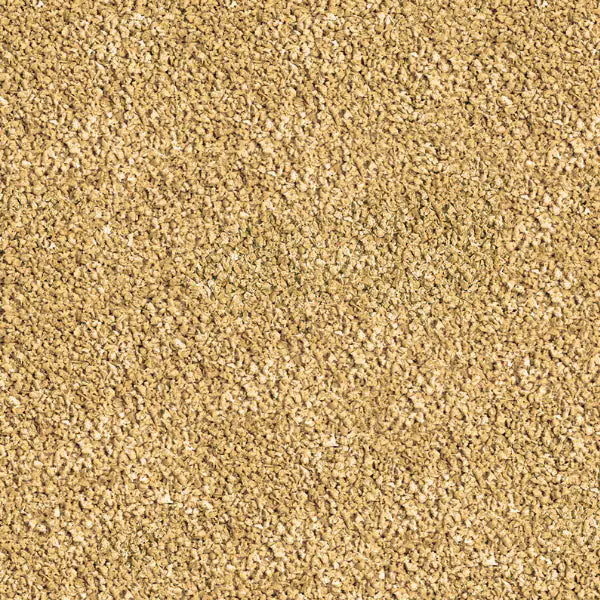 Sera Betta Granules mangime per pesci labirintidi   bauzaarit.myshopify.com