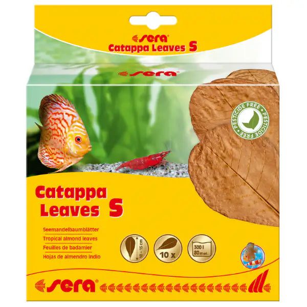 Sera Catappa Leaves foglie di mandorlo indiano per il trattamento acque  S bauzaarit.myshopify.com