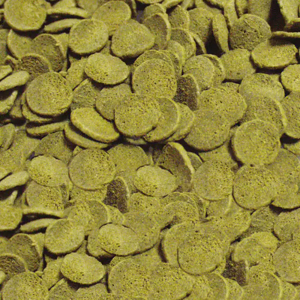 Sera Pleco Chips mangime per Loricaridi e Botie   bauzaarit.myshopify.com