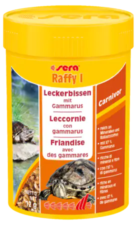 Sera Raffy I Turtles   bauzaarit.myshopify.com