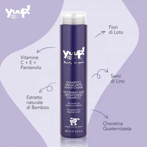 Shampoo manti chiari sbiancante Yuup   bauzaarit.myshopify.com