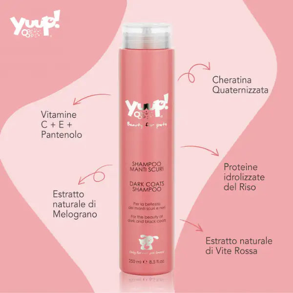 Shampoo manti scuri ravvivante Yuup   bauzaarit.myshopify.com