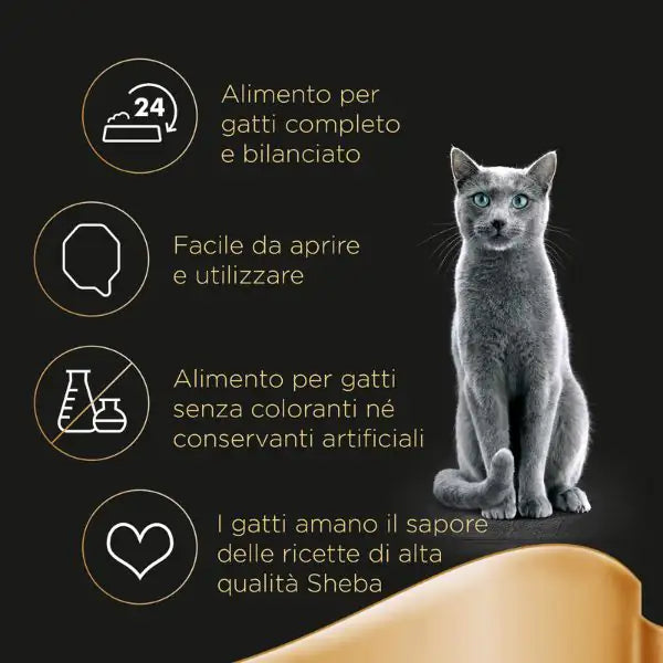 Sheba Creazioni speciali in salsa 85gr   bauzaarit.myshopify.com
