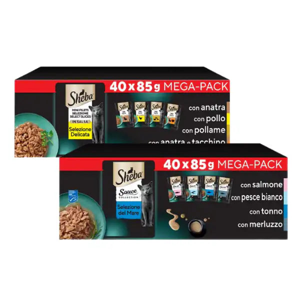 Sheba Delicatezze in salsa Mega Pack 40x85 gr   bauzaarit.myshopify.com