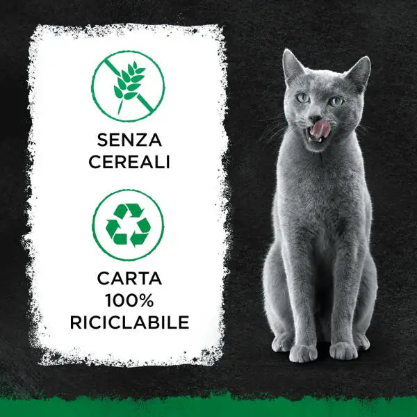 Sheba Nature's Collection in Salsa Multipack 40x85 gr   bauzaarit.myshopify.com