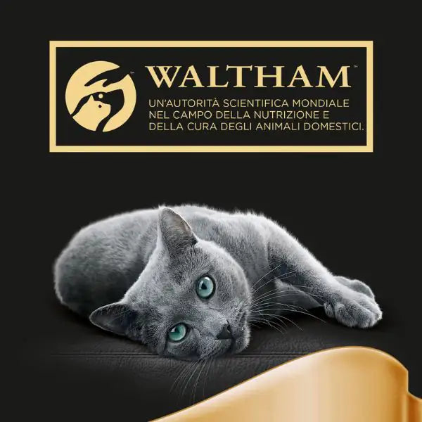 Sheba Selezione in salsa 85gr   bauzaarit.myshopify.com