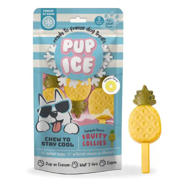 Snack per cani Gelato pronto all'uso Pup Ice 90 gr  Ananas- Fruity Lollies Bauzaar.it