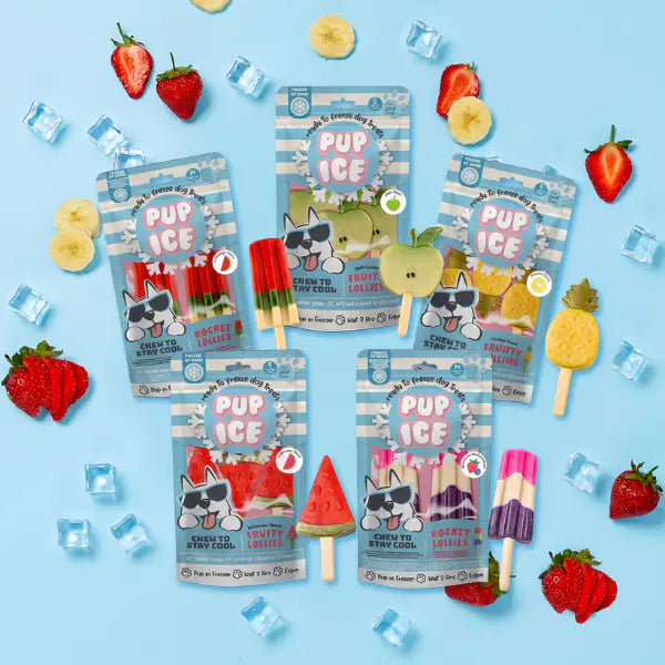 Snack per cani Gelato pronto all'uso Pup Ice 90 gr   Bauzaar.it