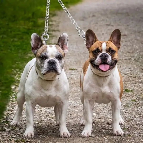 Splitter guinzaglio per cani Accoppiacani in metallo cromato Trixie   bauzaarit.myshopify.com