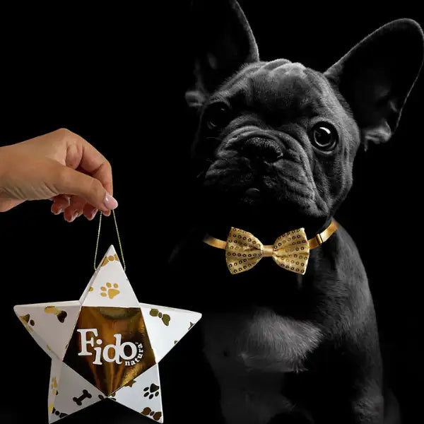 Stella regalo con Profumo da 30 ml + Papillon Fido Natura  con papillon oro bauzaarit.myshopify.com