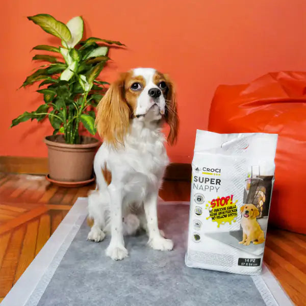 Tappetini Igienici Super Nappy Carbone Attivo Croci   bauzaarit.myshopify.com