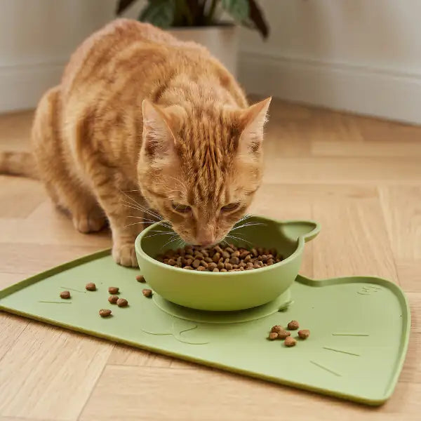 Tappetino sottociotola in silicone Gatto Amorcromia Ferribiella   Bauzaar.it