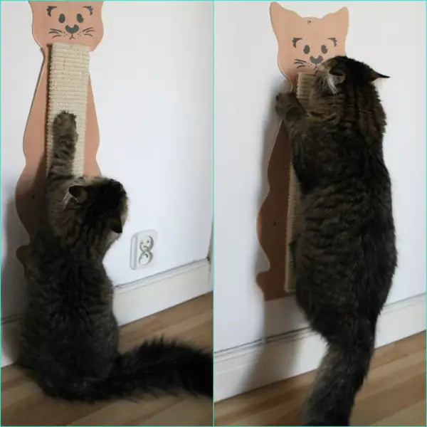 Tavoletta Tiragraffi in legno a forma di gatto Trixie   bauzaarit.myshopify.com