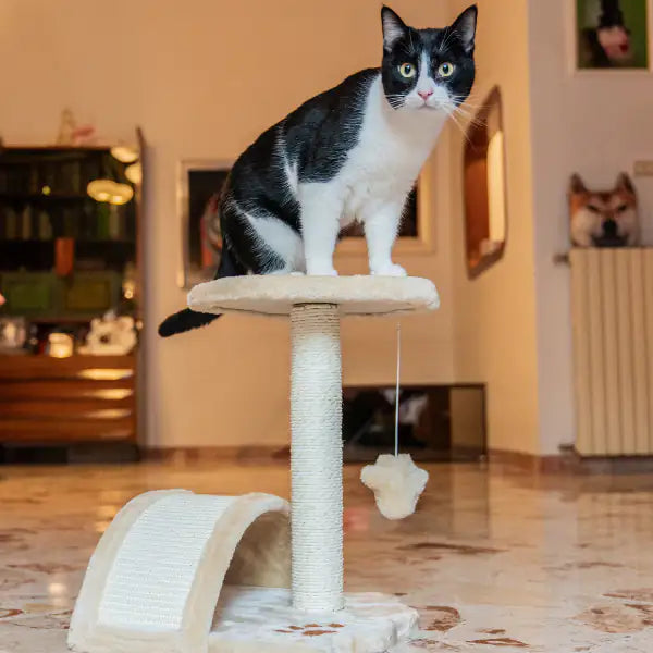Tiragraffi per gatti Torino PetUp   bauzaarit.myshopify.com