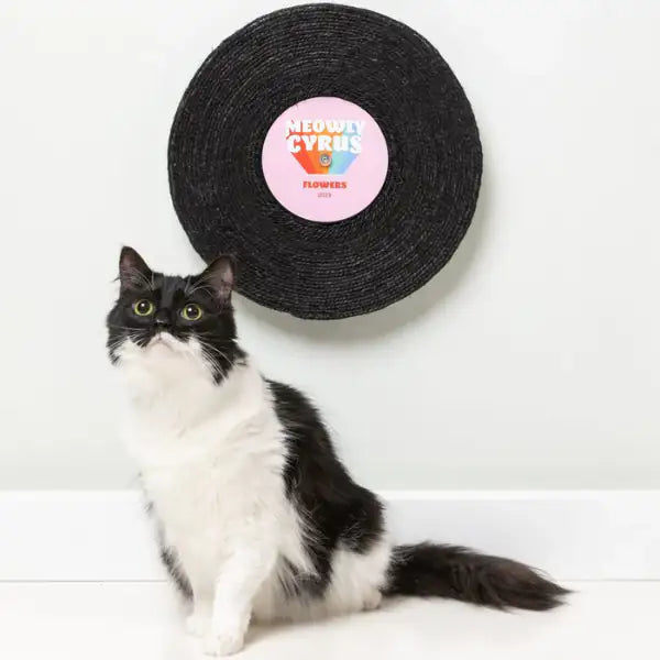 Tiragraffi per gatti disco vinile FuzzYard   bauzaarit.myshopify.com