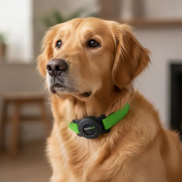 Trackipet Localizzatore satellitare GPS per animali domestici   bauzaarit.myshopify.com